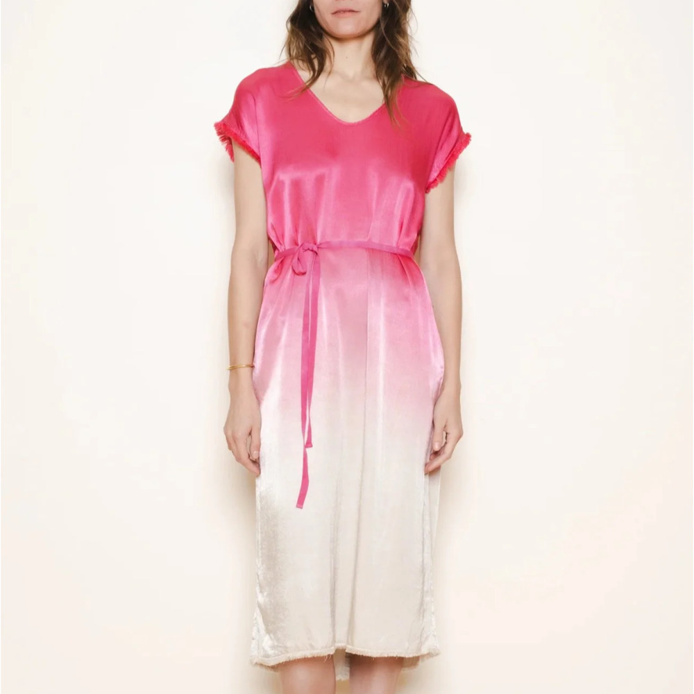 RAQUEL ALLEGRA Dante Ombre Cerise Dipped Pebble Satin Dress Shopbop 0 XS $450